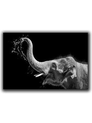 Fıl Kanvas Tablo