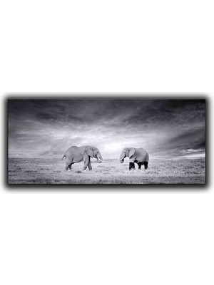 Fıller Kanvas Tablo