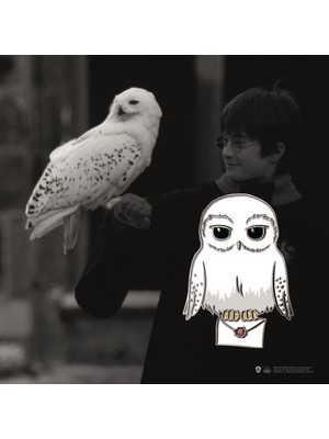 Sihir Dükkanı Hedwig Pin 3×4 cm Lisanslı Metal
