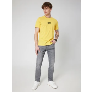 Regular Fit Erkek Tshirt K.kol
