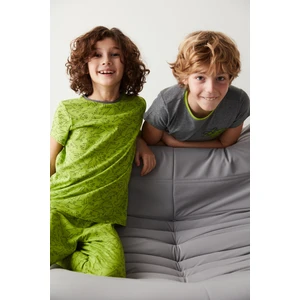 Yeşil-Gri Erkek Çocuk Dinozor Baskılı 2li Pijama Takımı