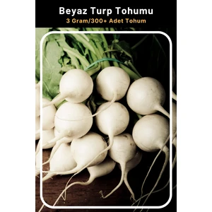 Tohum Seç Beyaz Turp Tohumu, 3 Gram/300 Adet Tohum