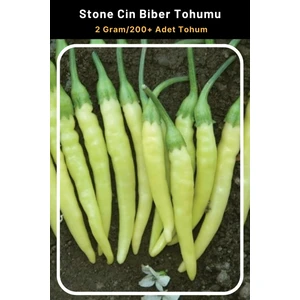Tohum Seç Stone Cin Biber Tohumu, 2 Gram/200 Adet