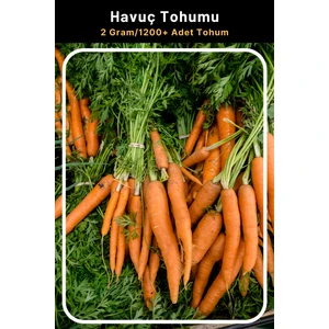 Tohum Seç Havuç Tohumu, Erkenci Çeşit, 2 Gram/1.200+ Adet Havuç Tohumu