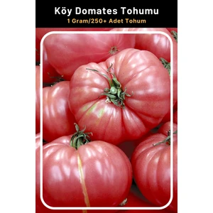 Tohum Seç Aroması Güzel, Etli Köy Domates Tohumu, 1 Gram/250+ Adet Tohum