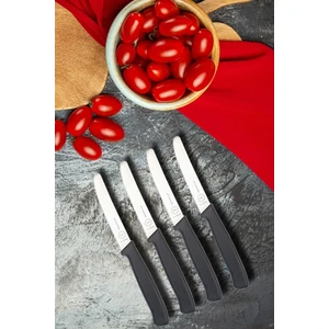 Pm Leonardo Swiss Gourmet 11 cm 4 Lü Domates Meyve Sebze Bıçak Seti Siyah