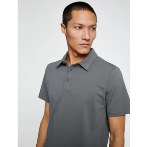 Basic Tişört Polo Yaka Pamuklu