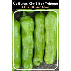 Tohum Seç Üç Burun Köy Biber Tohumu 2 Gr 200+ Adet Tohum