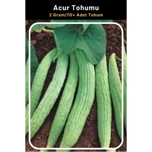 Tohum Seç Acur Tohumu, 2 Gram/70+ Adet Tohum