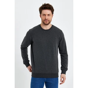 Bisiklet Yaka Basic  Ince Mevsimlik  Sweatshirt RD23YE581001