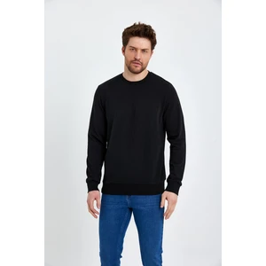 Bisiklet Yaka Basic  Ince Mevsimlik  Sweatshirt RD23YE581001