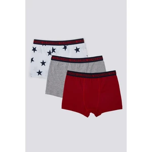 U.S. Polo Assn. Giyim Erkek Çocuk 3'lü Boxer