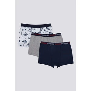 U.S. Polo Assn. Stripe Detail Erkek Çocuk 3'lü Boxer