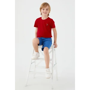 U.S. Polo Assn. Light Blue Kırmızı Erkek Çocuk Bermuda Takım