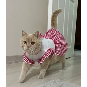 Pembe Kareli Papyonlu Dişi Kedi Köpek Kıyafeti Elbisesi