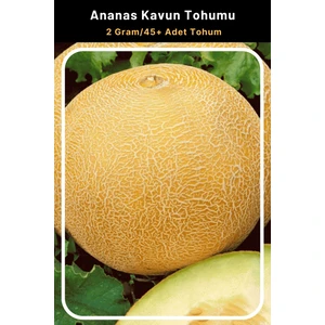 Tohum Seç Ananas Kavun Tohumu, 2 Gram/45+ Adet Tohum