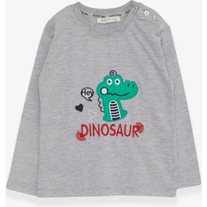 Erkek Bebek Uzun Kollu Tişört Dinozor Nakışlı 9 Ay-3 Yaş, Gri Melanj
