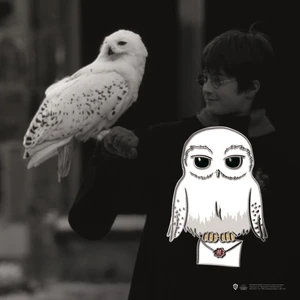 Sihir Dükkanı Hedwig Pin 3×4 cm Lisanslı Metal