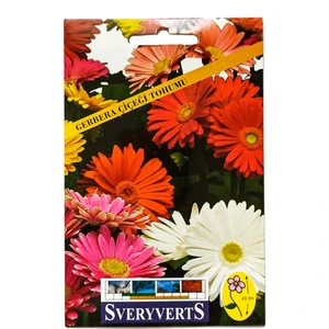 Birinci Kalite Gerbera Çiçeği Tohumu