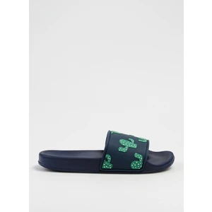 Lacivert Erkek Terlik Cactus