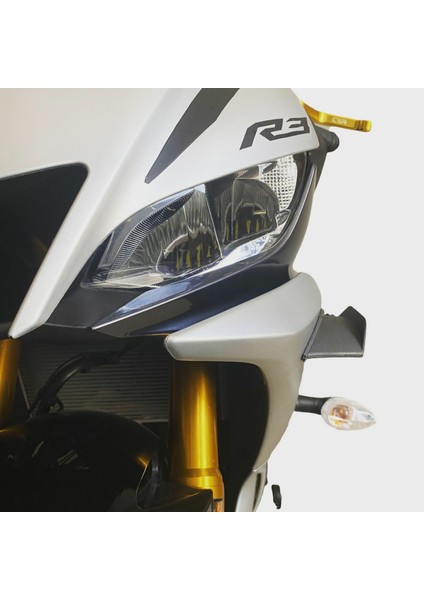 Motosiklet Aerodinamik Yan Kanat Takımı fiyatları