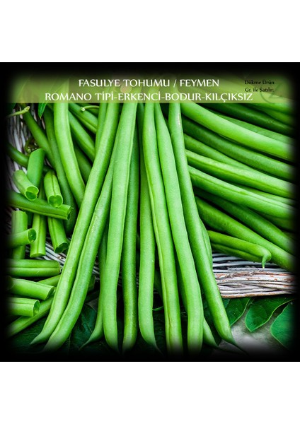Özel Feymen Fasülye Tohumu 1 kg. (2500+ Adet) Kılçıksız Erkenci Bodur Fasulye Tohumu