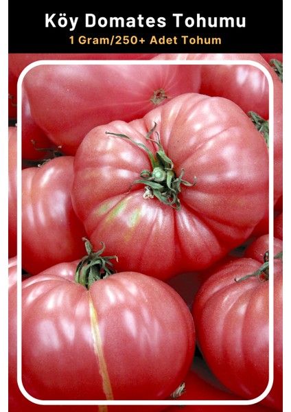 Aroması Güzel, Etli Köy Domates Tohumu, 1 Gram/250+ Adet Tohum