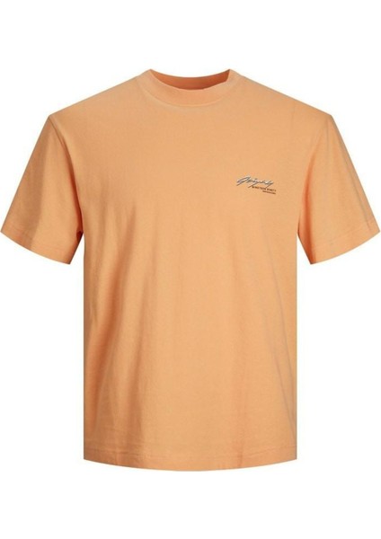 Jorpaısley Back Tee Ss Crew Neck Mc Turuncu Erkek T-Shirt 12235481-Pumpk