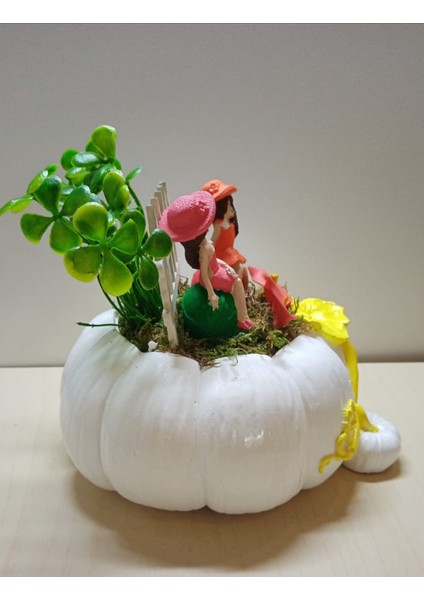 Best Friends Hediyesi Kız Arkadaşa Doğum Günü Hediyesi Beyaz Kabak Teraryum modelleri