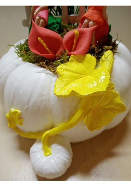 Best Friends Hediyesi Kız Arkadaşa Doğum Günü Hediyesi Beyaz Kabak Teraryum indirimleri