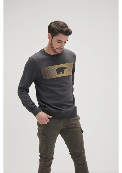 Fancy Crewneck Erkek Sweatshirt indirimleri