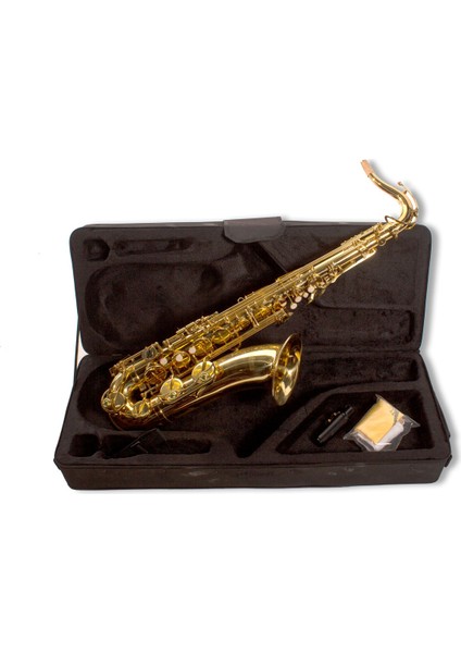 XTN2001 Tenor Saksafon fiyatları