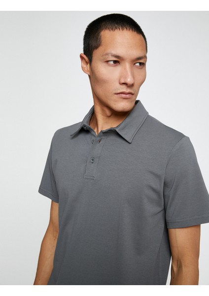 Basic Tişört Polo Yaka Pamuklu