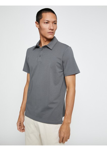 Basic Tişört Polo Yaka Pamuklu fiyatları