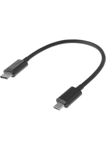 USB Tip-C Ila 2.0 Erkek Şarj Kablosu 9.84INCH Siyah (Yurt Dışından)