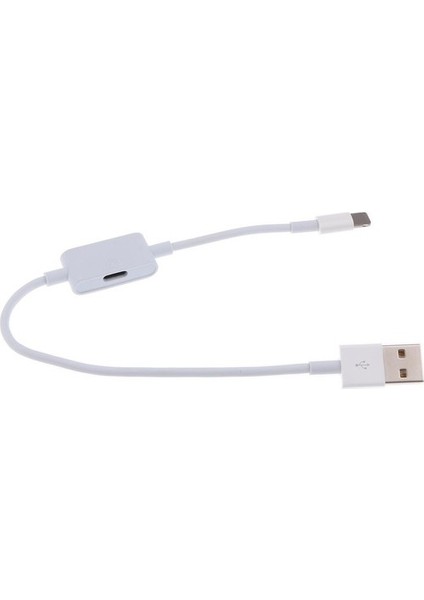 Şarj Cihazı Adaptörü Aux Ses 25CM (Yurt Dışından)