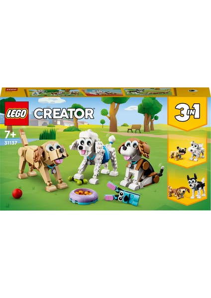 Creator Sevimli Köpekler 31137 - 7 Yaş ve Üzeri Çocuklar için Beagle, Poodle ve Labrador Modelleri İçeren Yaratıcı Oyuncak Yapım Seti (475 Parça)