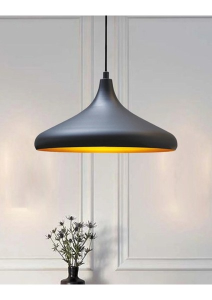 Mylights Modern Spor Metal Sarkıt Avize Mutfak Avize Cafe Avize 35 cm