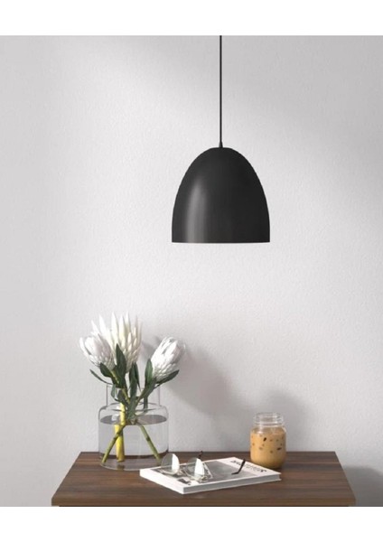 Mylights Mat Siyah Retro Rustik Vintage Sarkıt Avize