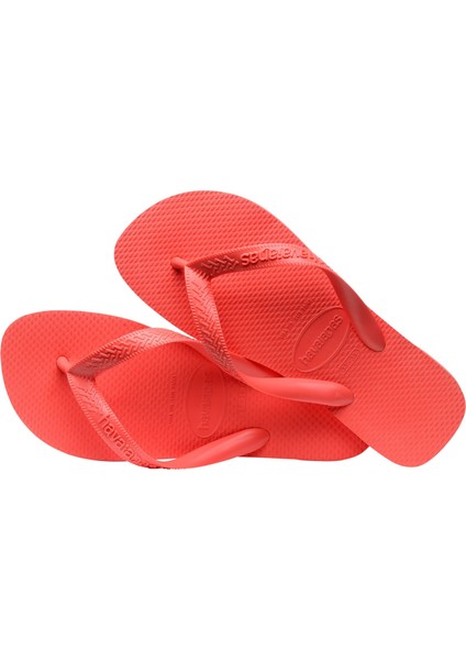 Top Somon Unisex Terlik 41-42 fiyatları