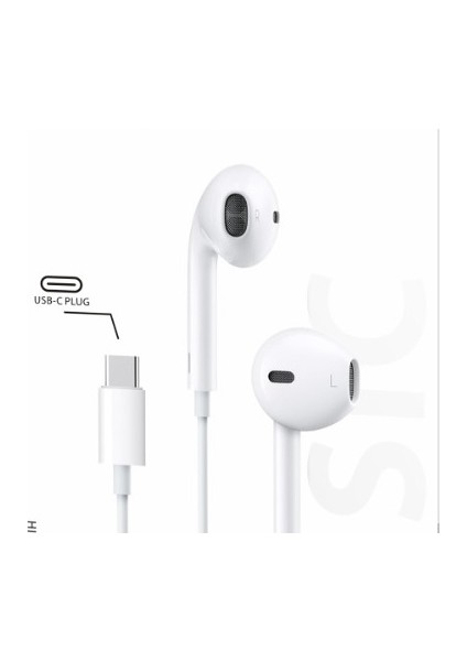 MS-UC629 Usb-C Earphone fiyatları
