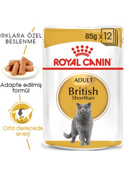 British Shorthair Yetişkin Kedi Konservesi 12x85gr (12li) fiyatları