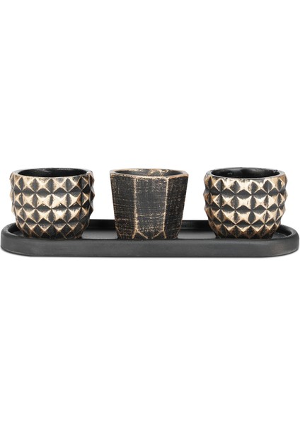 Eti Siyah Altın Toygar Fiyu 3'lü Saksı Seti