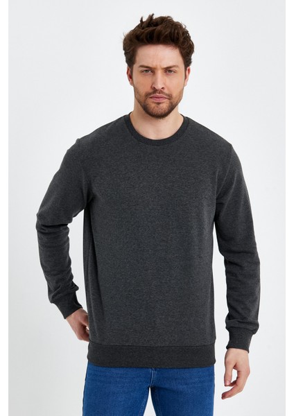 Bisiklet Yaka Basic Ince Mevsimlik Sweatshirt RD23YE581001