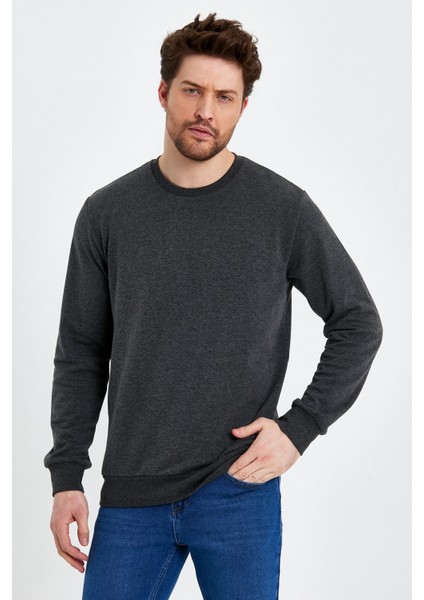 Bisiklet Yaka Basic Ince Mevsimlik Sweatshirt RD23YE581001 fırsatları