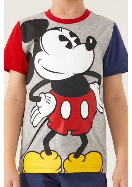 Mickey Mouse Mouse Gri Melanj Erkek Çocuk Kapri Takım