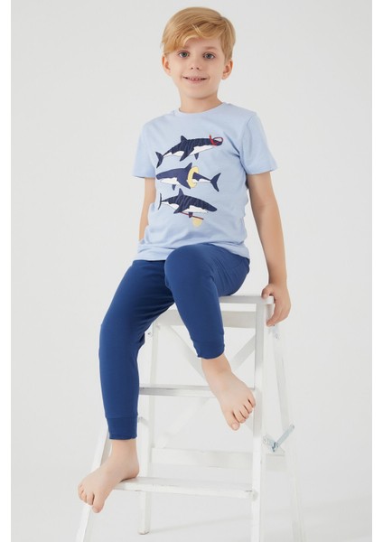 Shark Mavi Erkek Çocuk Kısa Kol Pijama Takım modelleri