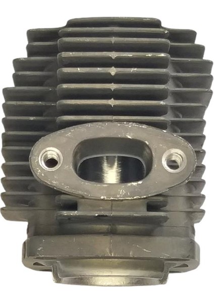 Plant Mate TF-768 Benzinli İlaclama Makinası Silindir