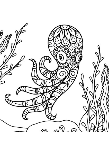 Çocuklar Için 2 Adet Hayvanlar ve Desenler Mandala Kitabı