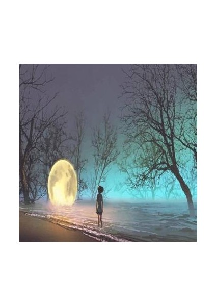 Sayılarla Boyama Seti Kasnaklı Gece ve Huzur 100 x 140 cm